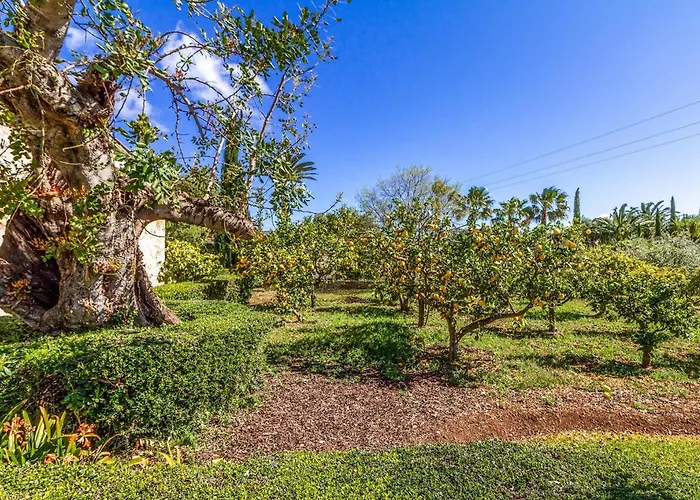 Traditional 3 Bedrooms Rellafonta Mountain Views Short Drive To Town&beach *