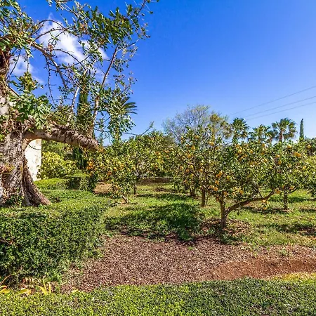 Traditional 3 Bedrooms Rellafonta Mountain Views *